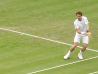 Wimbledon tennis- Andy Murray receiving backhand